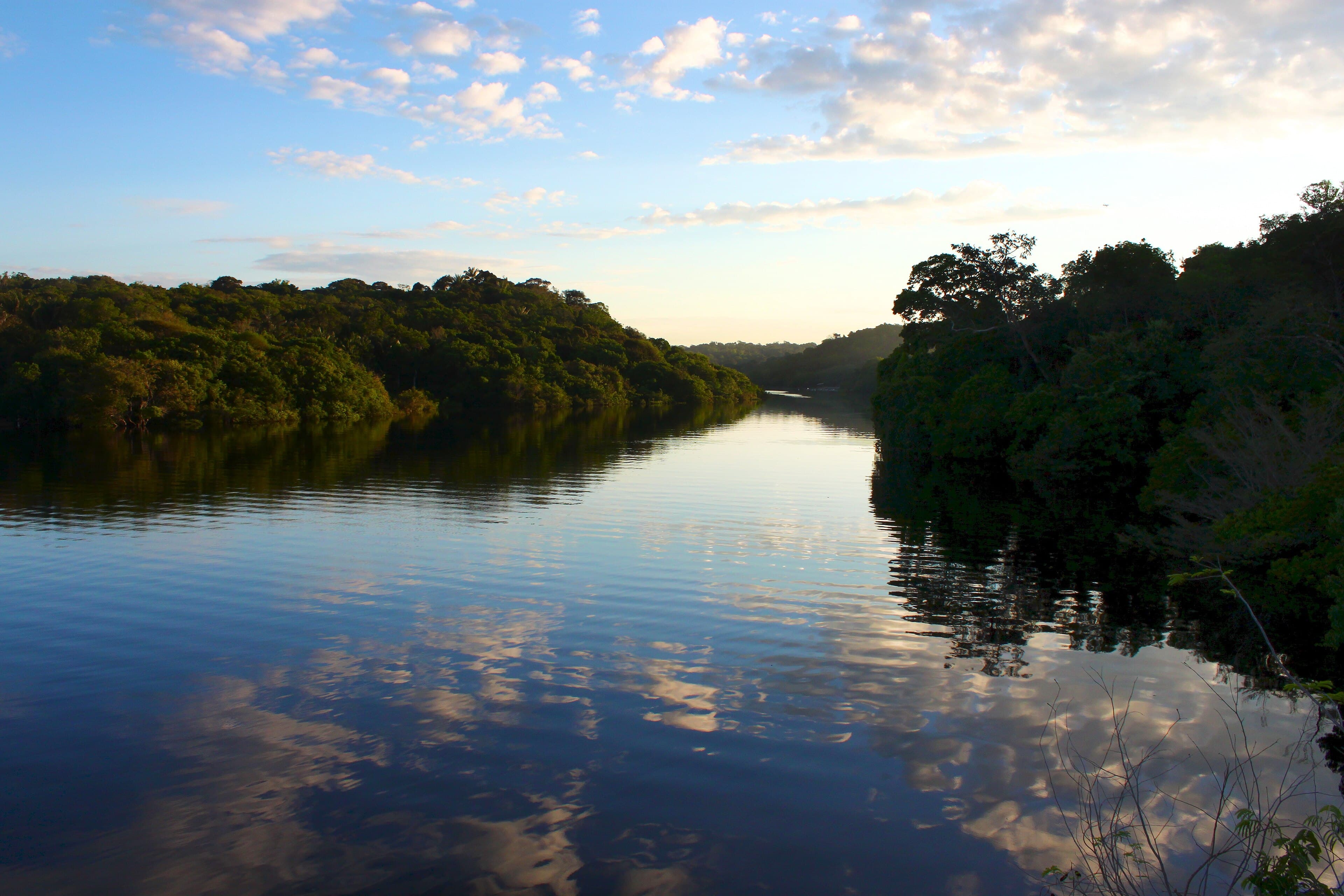 Rio no interior do Amazonas ao amanhecer, com floresta densa e reflexo do céu na água.